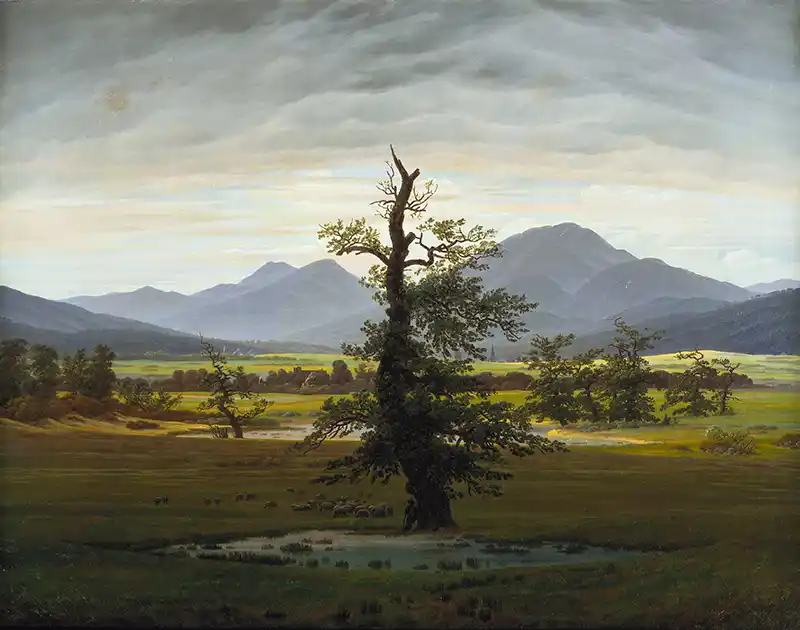 The Lonely Tree